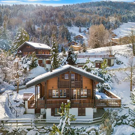 Le Pacha - 6 Pers - Pres Des Pistes *