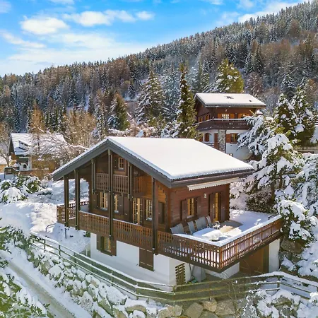 Le Pacha - 6 Pers - Pres Des Pistes Chalet